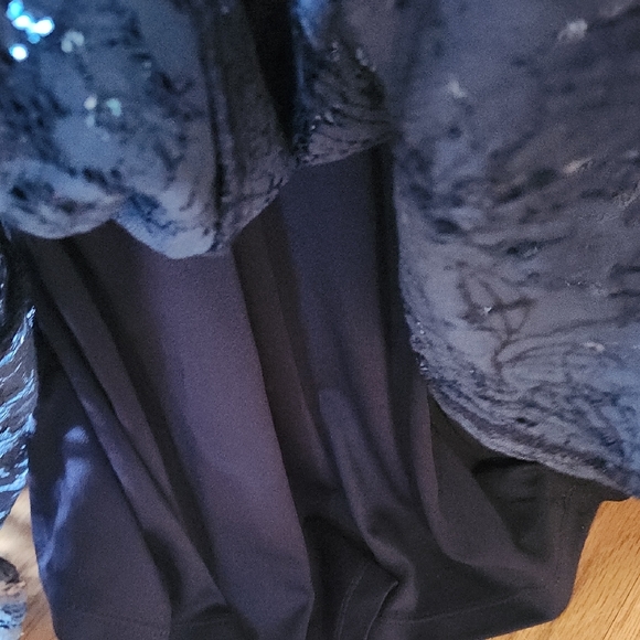 Blue Lace and Sequin Embellished Gown - Picture 13 of 17